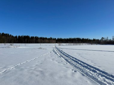 Kuzey İsveç'in kış manzarası