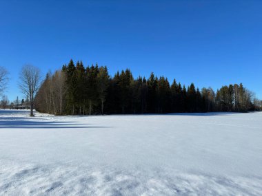 Kuzey İsveç'in kış manzarası