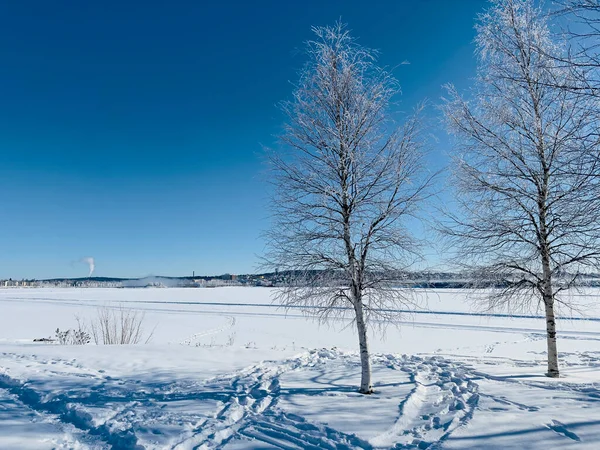 Χειμερινό Τοπίο Της Βόρειας Σουηδίας — Φωτογραφία Αρχείου