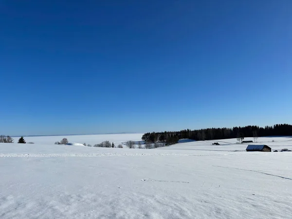 Zimní Krajina Severního Švédska — Stock fotografie