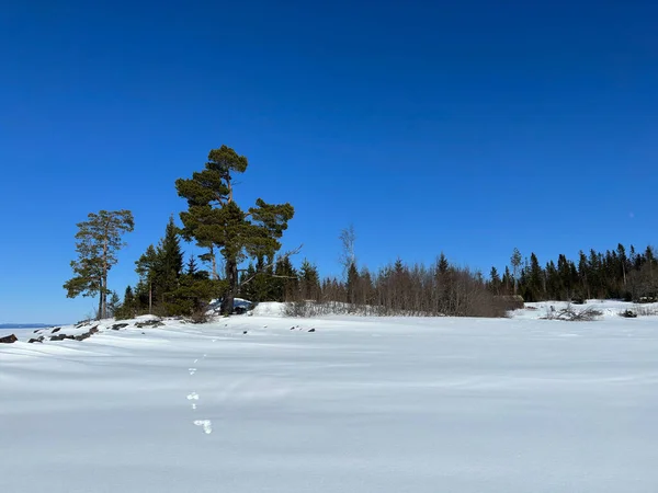Winterlandschap Van Noord Zweden — Stockfoto