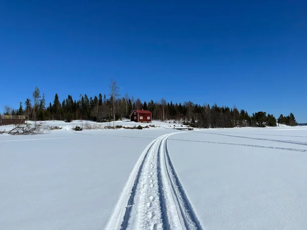 Winter Landscape North Sweden — Stock Photo, Image