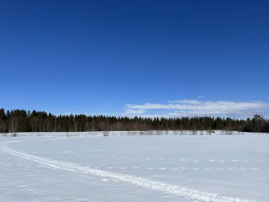 Kuzey İsveç'in kış manzarası