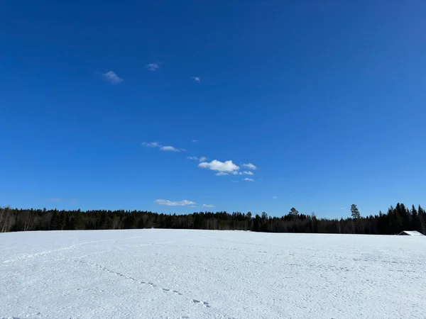 Paysage Hivernal Nord Suède — Photo