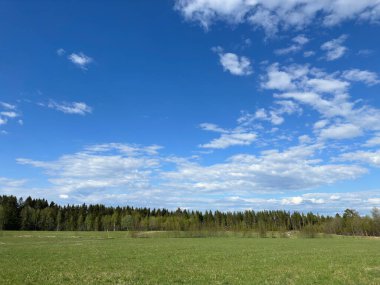 Kırsaldaki bahar tarlası