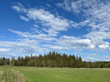 İsveç 'te bahar manzarası.