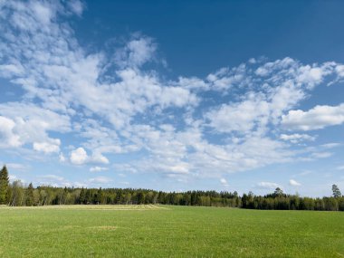 Birkaç ağaç ve mavi gökyüzü olan bir tarla.
