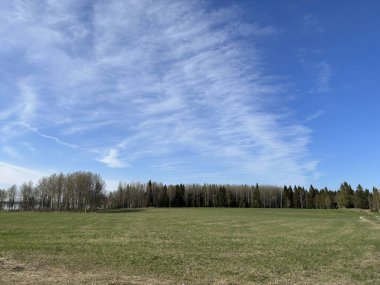 Kuzey İsveç 'teki güzel köy manzarası