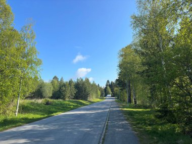 Ağaçlı ve mavi gökyüzü olan bir yol.