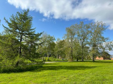 Parktaki manzara çok güzel.