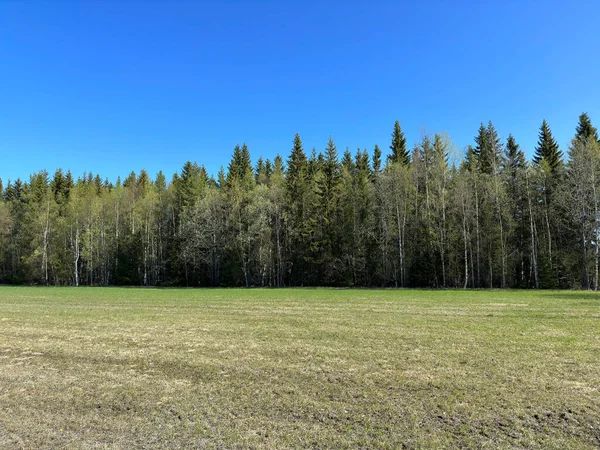 Prachtig Landschap Van Dorp Noord Zweden — Stockfoto