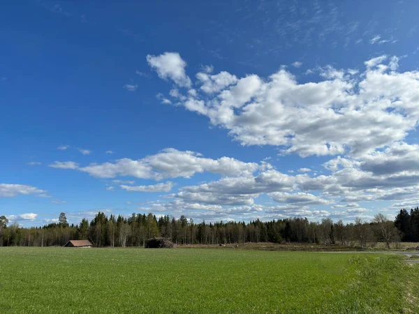 Чудовий Краєвид Села Півночі Швеції — стокове фото
