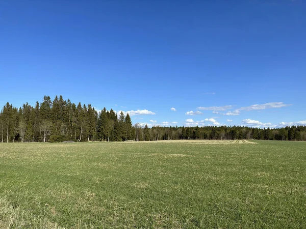 Schöne Dorflandschaft Nordschweden — Stockfoto