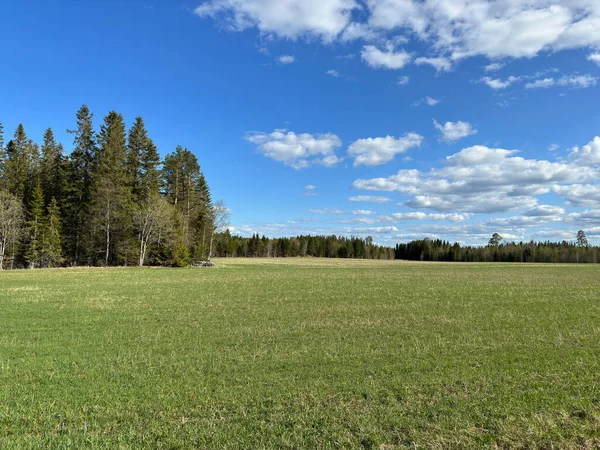 Krásná Krajina Obce Severním Švédsku — Stock fotografie