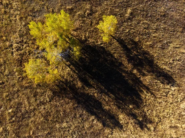 산속의 지대에 가을을 공중으로 드론으로내려다본 — 스톡 사진