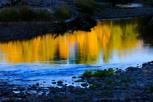 Reflet Des Arbres Couleur Automne Automne Dans Eau Bleue Ruisseau — Photo