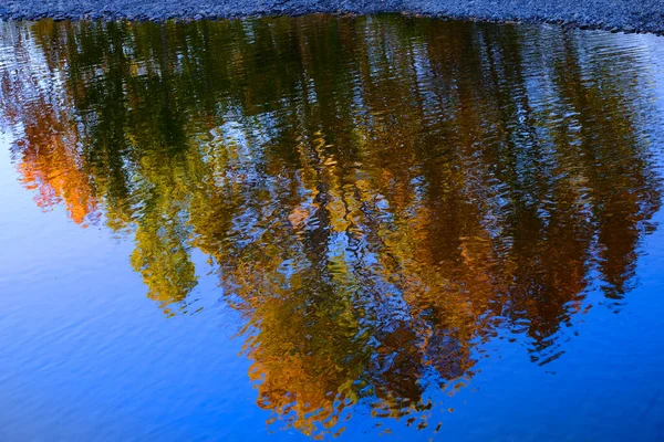 Sonbaharın Yansıması Nehir Deresi Veya Göletin Mavi Sularındaki Sonbahar Renkli — Stok fotoğraf