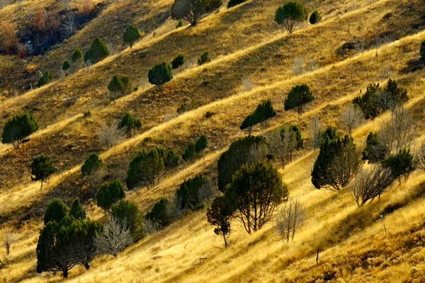 Paisagem Montanhosa Montanha Com Cumes Árvores Velhas Cor Dourada — Fotografia de Stock