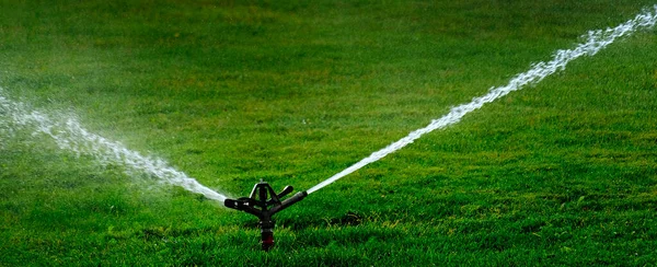 Sprinkler Park Spraying Water Watering Lush Green Grass —  Fotos de Stock