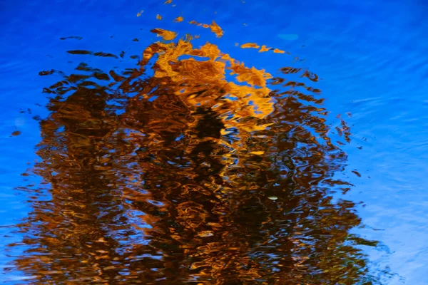 Reflectie Van Herfst Gekleurde Bomen Blauw Water Van Rivier Kreek — Stockfoto