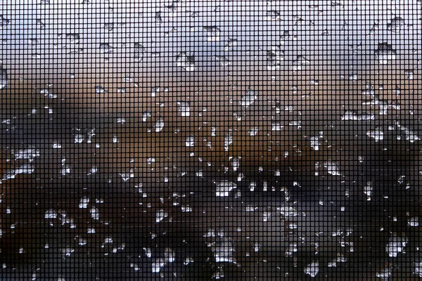 窗玻璃网正方形上结冰的水 — 图库照片