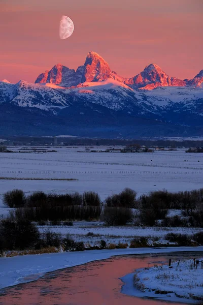 Tetons Tetons Mountain Range Vintern Med Snö Och Träd Och — Stockfoto