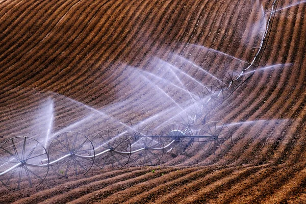 轮式洒水机 用于灌溉犁耕农田土线 以种植绿色作物 — 图库照片