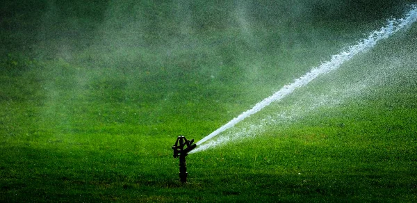 Sprinkler Einem Park Der Wasser Versprüht Und Sattes Grünes Gras — Stockfoto