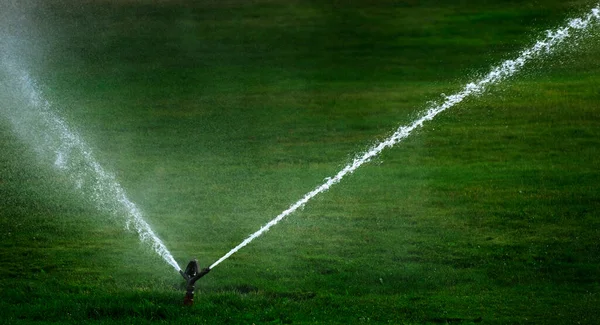 Sprinkler Park Spraying Water Watering Lush Green Grass — Φωτογραφία Αρχείου