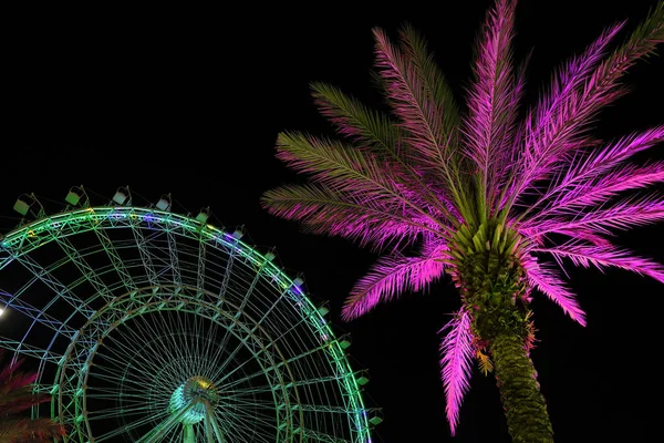 Versierde Palmboom Verlichting Met Reuzenrad Nachts Feestelijk — Stockfoto