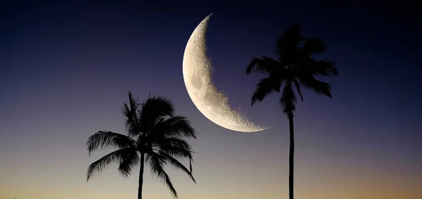 Palmeras Playa Del Océano Hawaii Con Luna Cielo — Foto de Stock