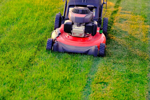 Red Lawn Mower Lush Green Grass Mowing Lawn Cutting — Stockfoto