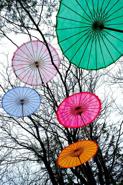 在花园里挂着五颜六色的装饰性雨伞 — 图库照片