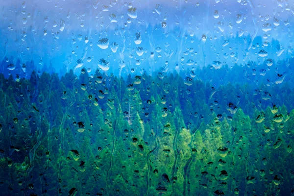 나무숲 안개낀 가비가 창문을 보이는 — 스톡 사진