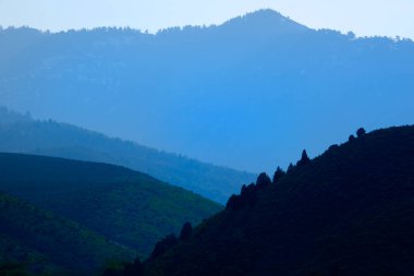 Dağların katmanları ve çöl ormanlarındaki çam ağaçları dumandan sisli.