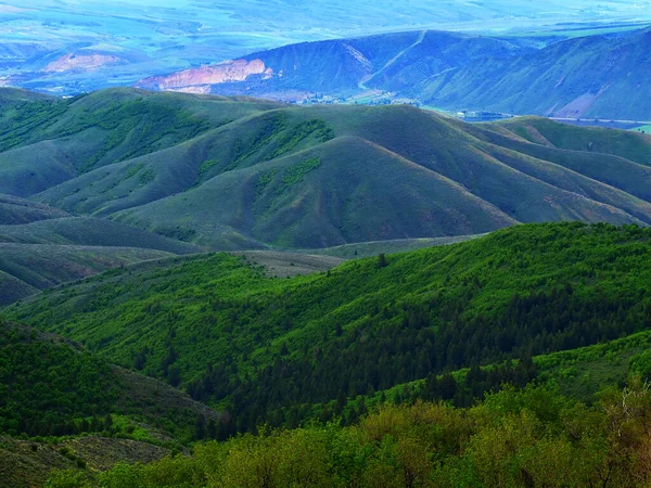 Yuvarlanan Yeşil Tepeler Bahar Ağaçları Olan Dağlar — Stok fotoğraf