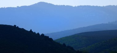 Dağların katmanları ve çöl ormanlarındaki çam ağaçları dumandan sisli.