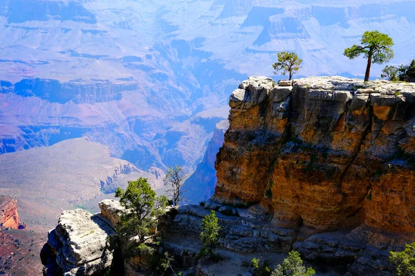 从悬崖上俯瞰美国亚利桑那州大峡谷的树木 可以看到令人惊叹的红色岩石悬崖和景色 — 图库照片