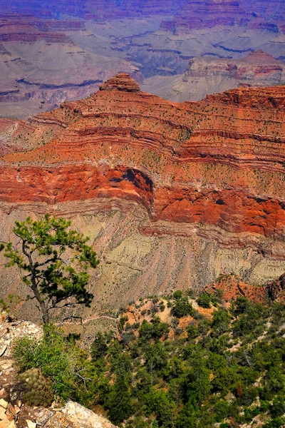 美国亚利桑那州的大峡谷 有着令人惊叹的红色岩石悬崖和景色 — 图库照片