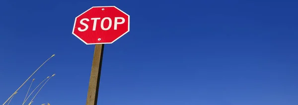 Stop Sign Red Warning Blue Sky Yellow Sunflowers Weeds Road — Fotografia de Stock