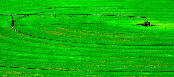 Cerchio Perno Irrigazione Lussureggiante Campo Fattoria Verde Con Binari Terra — Foto Stock