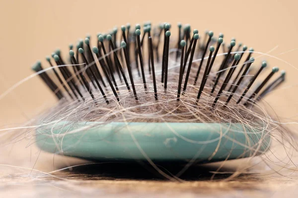 Closeup detail of hairbrush with strands of hair from brushing