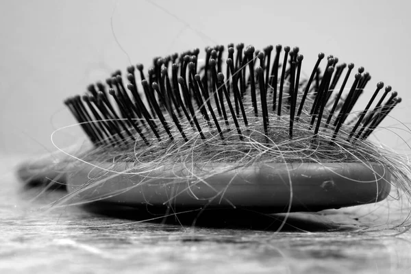 Closeup detail of hairbrush with strands of hair from brushing