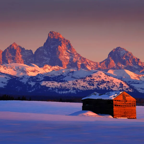 Teton Dağları, kışın Sunset Light Grand Tetons ve tarlada eski bir kulübe.
