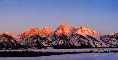 Wyoming Alpen 'deki Teton Dağı' nda sabah güneşi turuncu ve engebeli dağlarda pembe parlıyor.