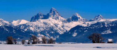 Mavi Gök ve Orman ile kışın Idaho 'da Teton Dağı Sırası