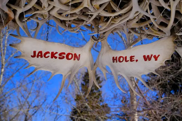 Jackson Hole怀俄明州冬季地标的鹿角 免版税图库图片