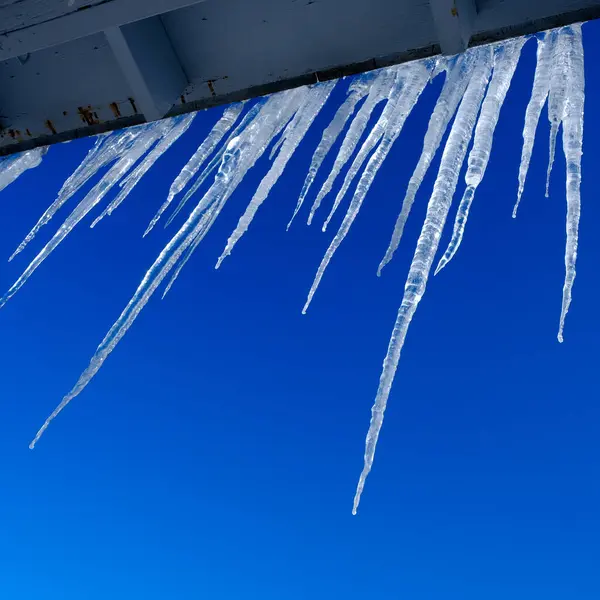 清澈的水晶冰柱在冬天的屋顶上挂着蓝天 免版税图库照片