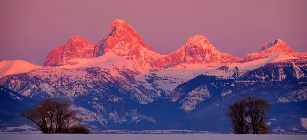 泰顿山脉爱达荷州的日落阿尔卑斯山在冬雪和树木中闪烁着粉色和橙色的光芒 图库图片