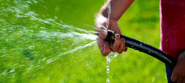 手和软管喷绿草草坪上射新鲜水 免版税图库图片